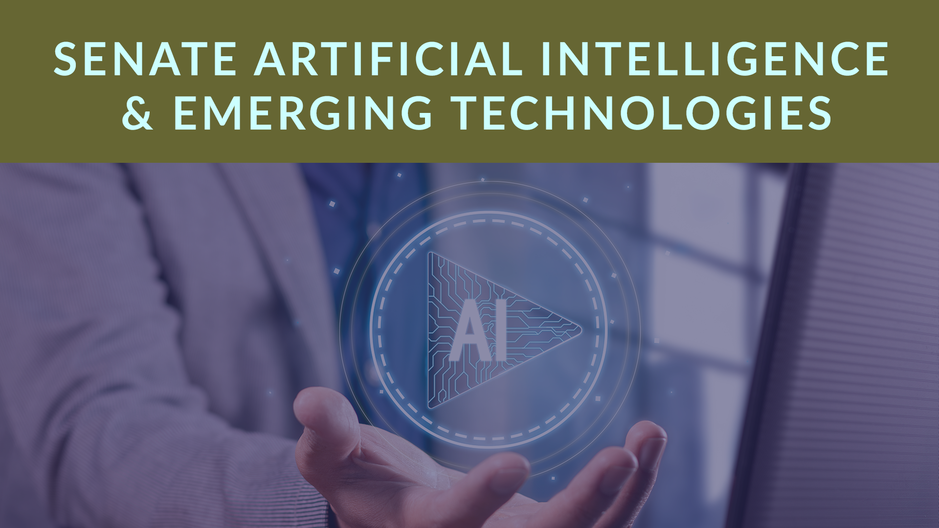 Thumbnail for Senate Committee on Artificial Intelligence & Emerging Tech