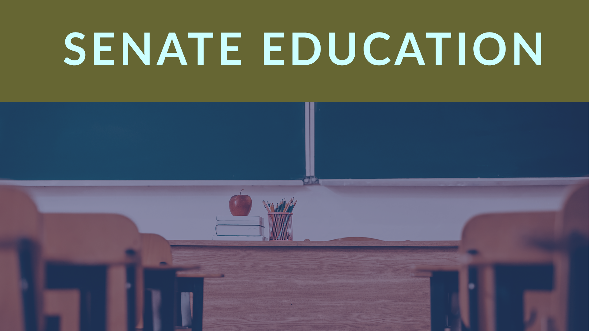 Thumbnail for Senate Committee on Education