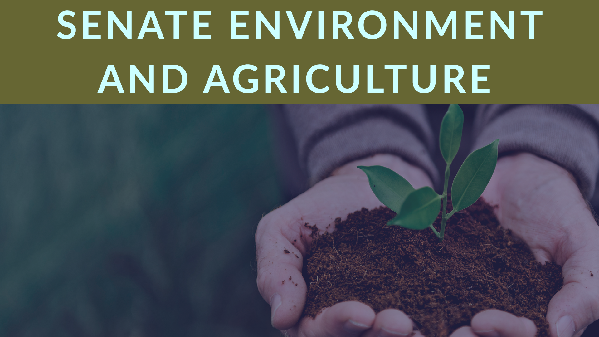 Thumbnail for Senate Committee on Environment and Agriculture