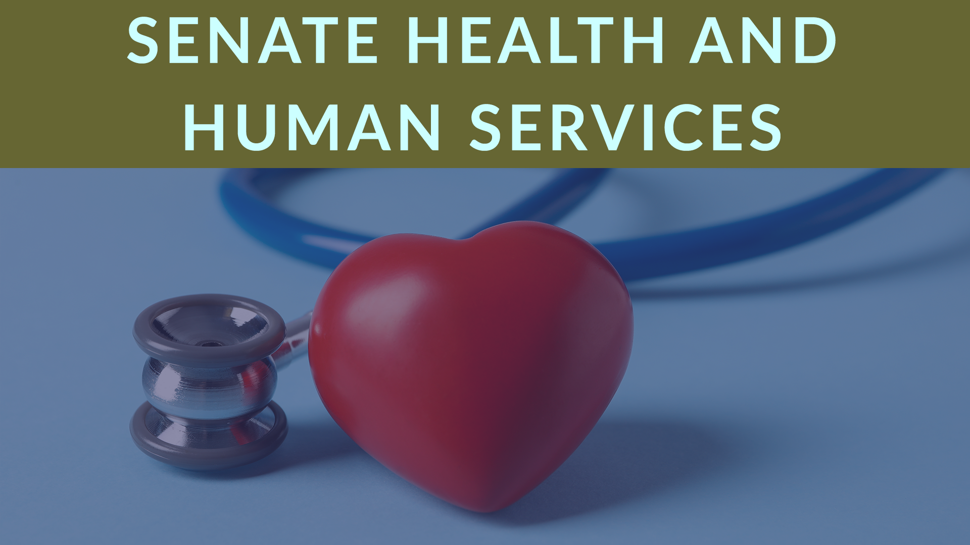 Thumbnail for Senate Committee on Health and Human Services