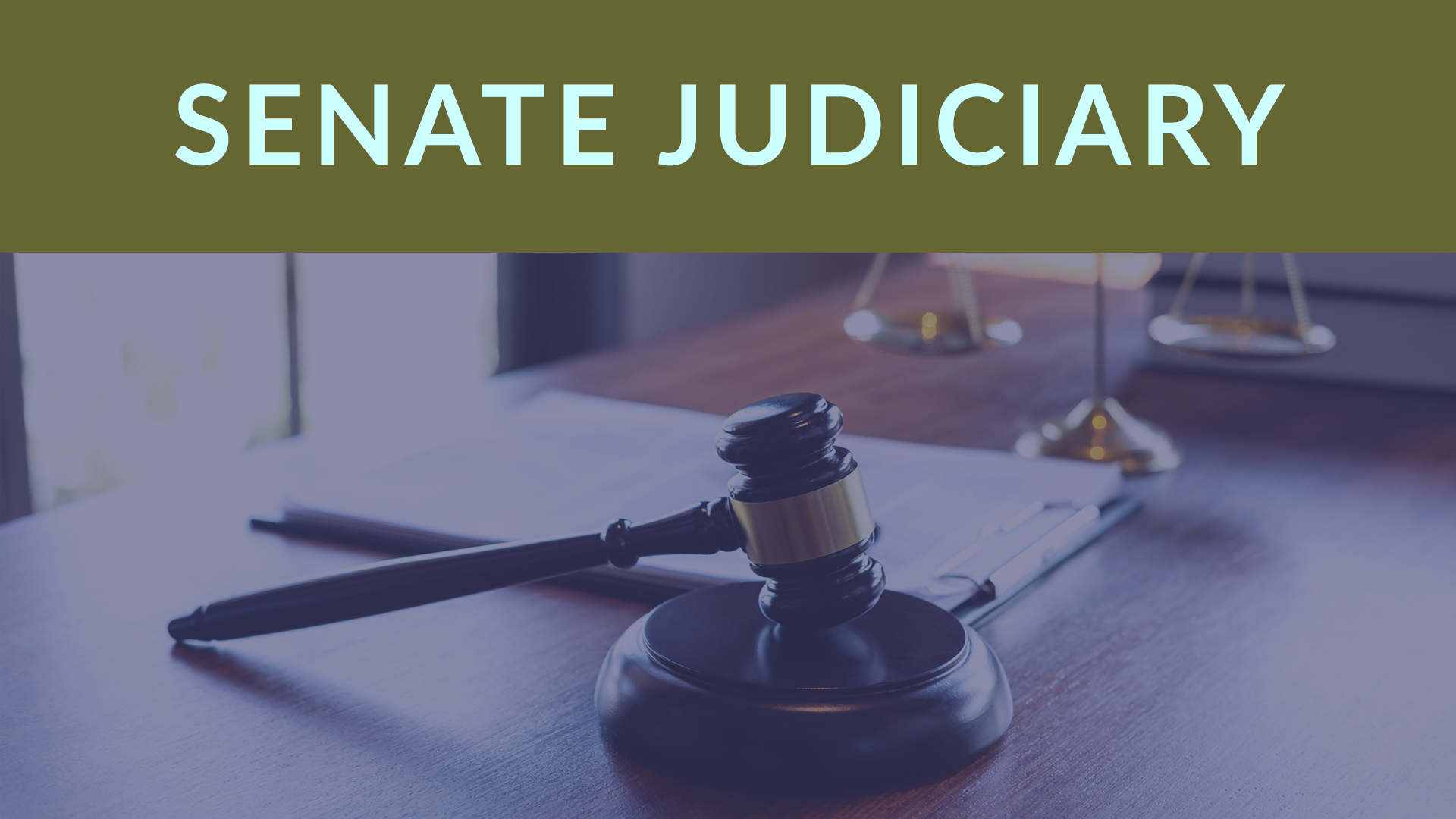 Thumbnail for Senate Committee on Judiciary