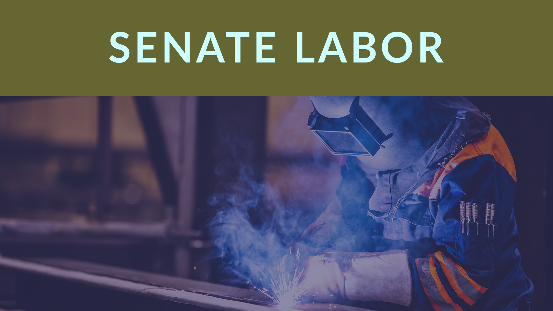 Thumbnail for Senate Committee on Labor