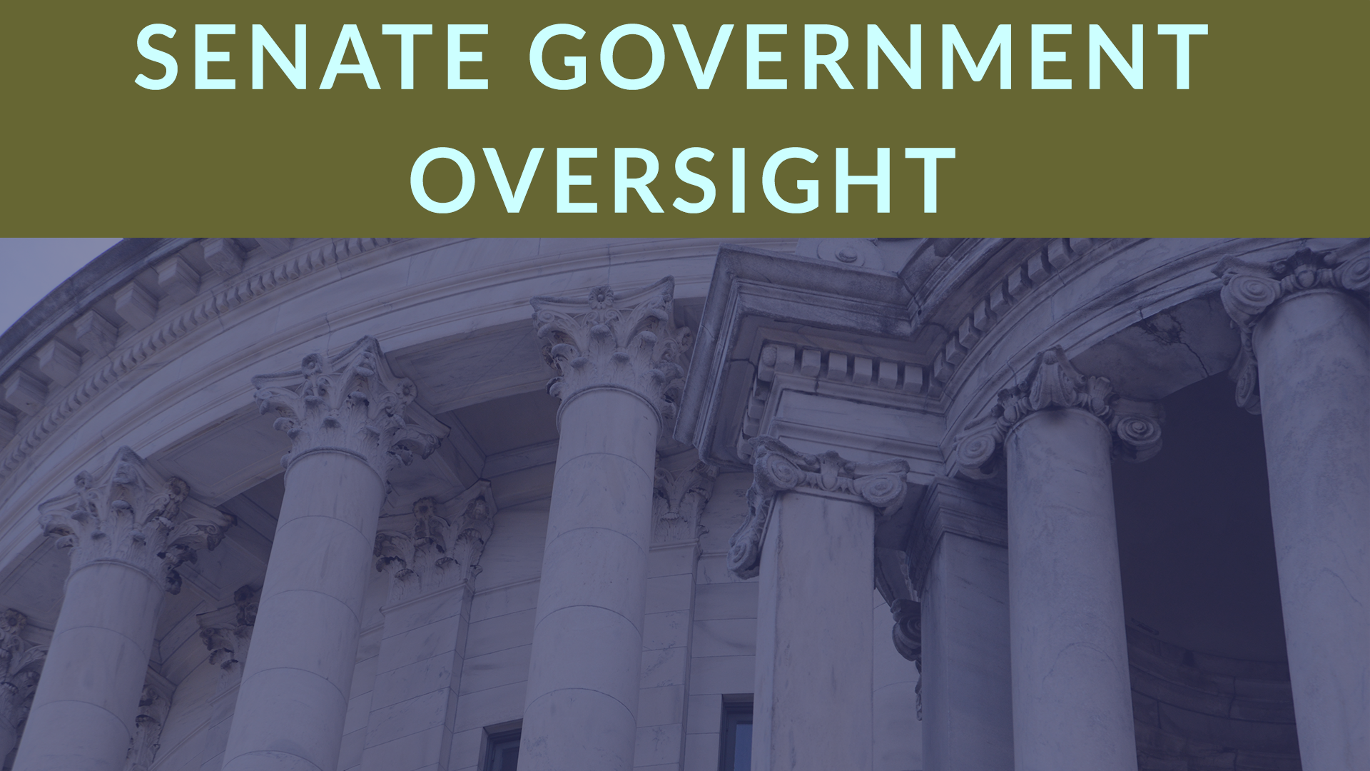 Thumbnail for Senate Committee on Rules, Government Ethics and Oversight