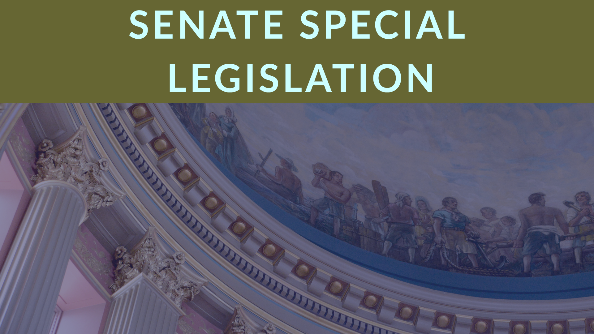 Thumbnail for Senate Committee Special Legislation and Veterans' Affairs 