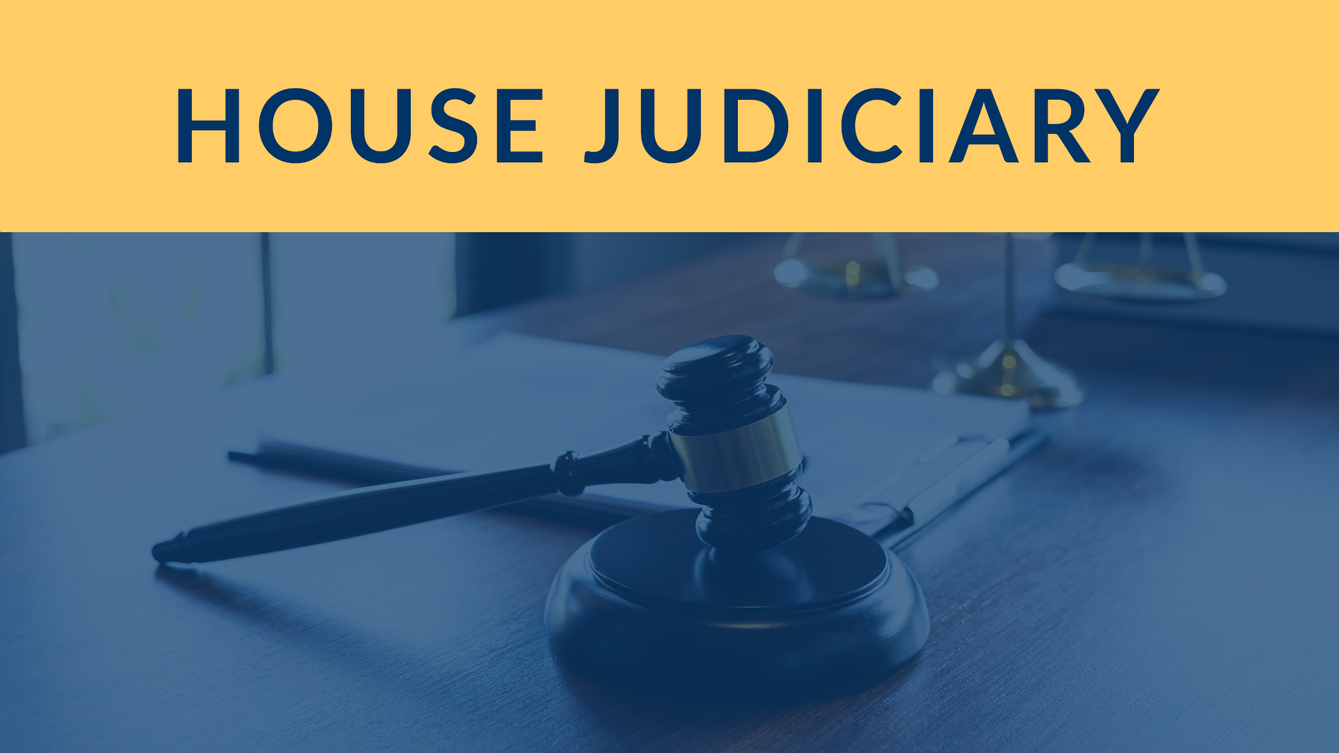 Thumbnail for House Committee on Judiciary