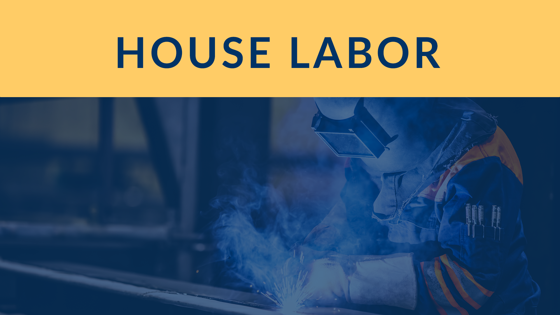 Thumbnail for House Committee on Labor