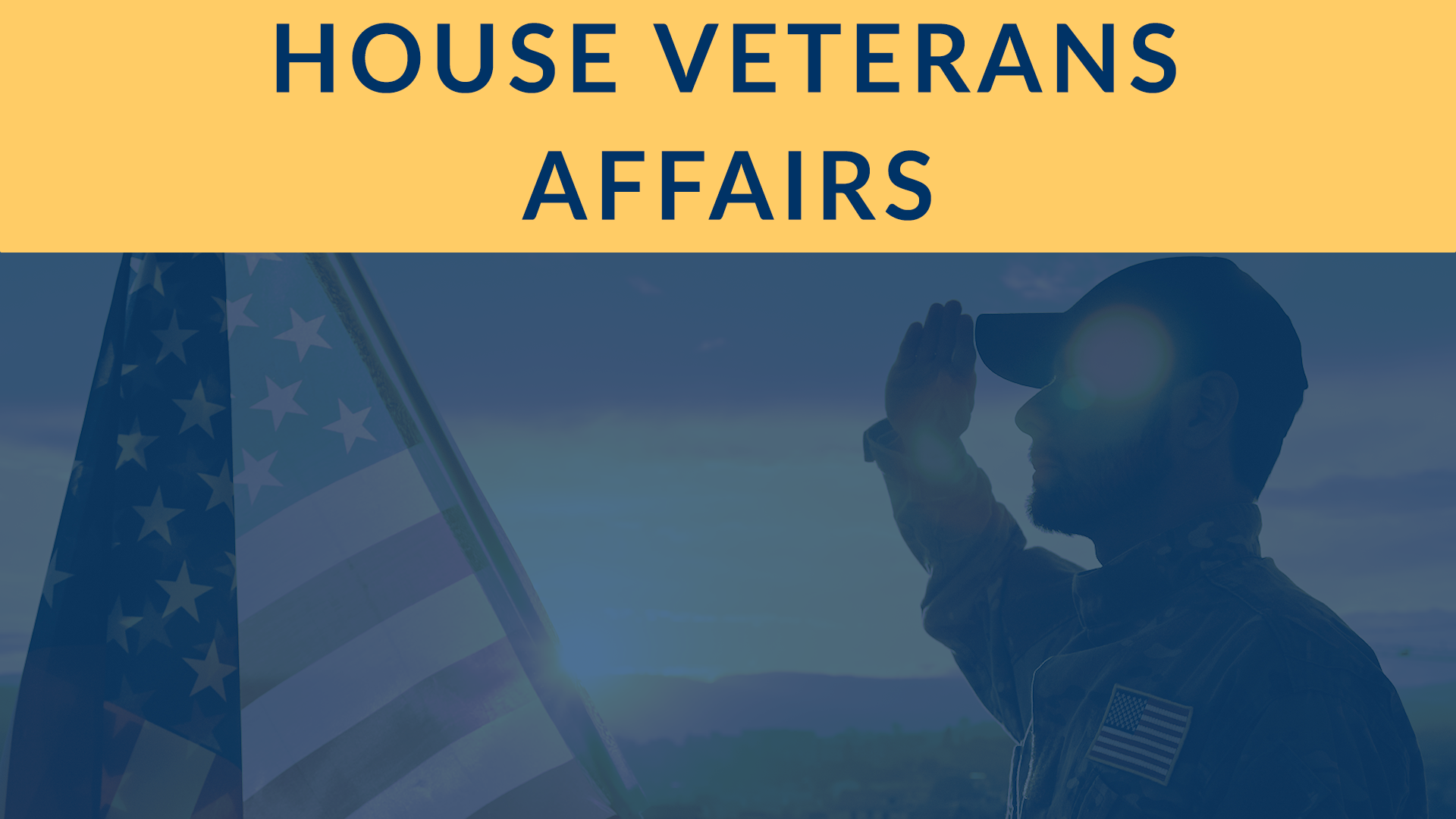 Thumbnail for House Committee on Veterans' Affairs 