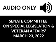 Thumbnail image for 3-23-2022 Senate Committee on Special Legislation & Veteran Affairs - AUDIO