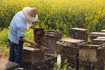 Thumbnail image for 3-2-18  LASA Grant  Beekeeper