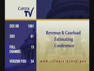 Thumbnail image for (part 2/3) 11-06-2020 Revenue & Caseload Estimating Conference