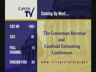 Thumbnail image for 4-24-2020  Consensus Revenue & Caseload Estimating Conference Part 2 of 2