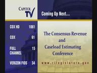 Thumbnail image for 5-5-2020  The Consensus Revenue and Caseload Estimating Conference