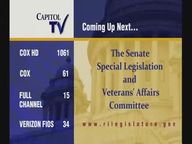 Thumbnail image for 2-8-2022 Senate Special Legislation and Veterans' Affairs Committee