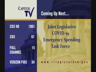 Thumbnail image for 6-4-2020 Press Briefing on COVID - 19