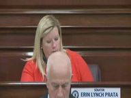 Thumbnail image for 6-15-17  Senate Committee on Judiciary