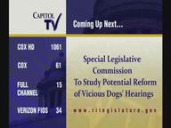 Thumbnail image for 12-12-19  Special Legislative Commission to Study Potential Reform of Vicious Dogs.