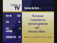 Thumbnail image for 3-2-2022  Senate Committee on Special Legislation and Veterans Affairs