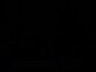 Thumbnail image for Leader Shekarchi H 6294