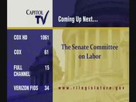Thumbnail image for 6-2-2021  Senate Committee on Labor