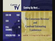 Thumbnail image for 5-8-2020  The Consensus Revenue and Caseload Estimating Conference  Part 2 of 2